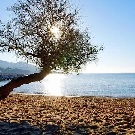 Chez Tao Apartment Carqueiranne